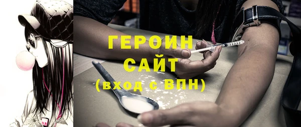 сатива Беломорск