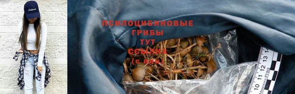 сатива Беломорск