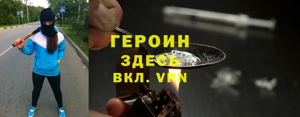 сатива Беломорск