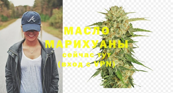 сатива Беломорск