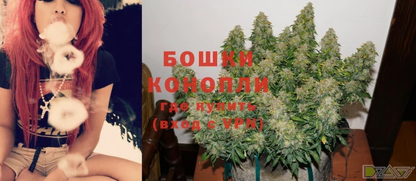 сатива Беломорск