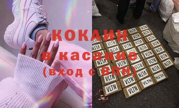 сатива Беломорск