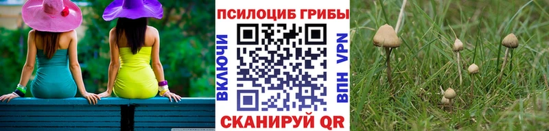 Галлюциногенные грибы GOLDEN TEACHER  Бородино 
